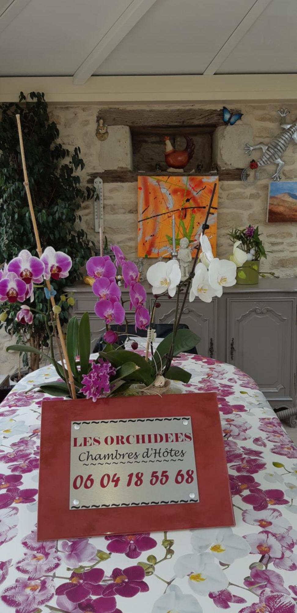 Les Orchidees Chambre Hotes Futuroscope Chasseneuil Poitiers Jaunay-Clan Exteriör bild